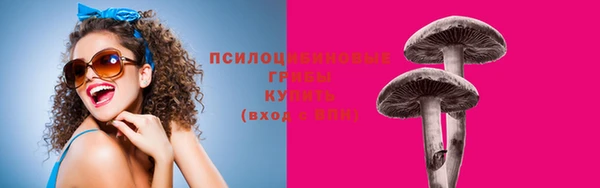 прущие крисы Алексин