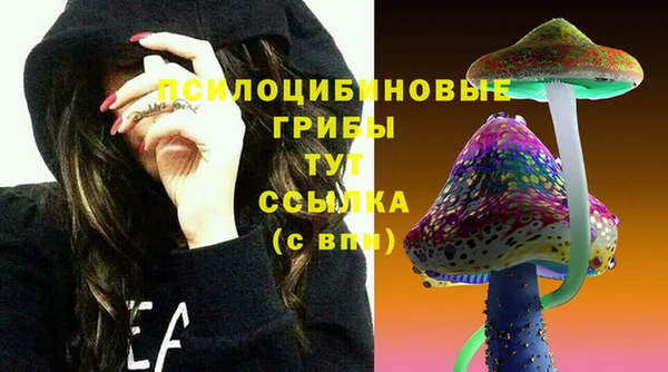 дурь Сафоново