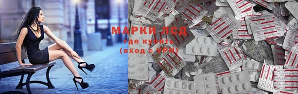 ГАЛЛЮЦИНОГЕННЫЕ ГРИБЫ Алексеевка
