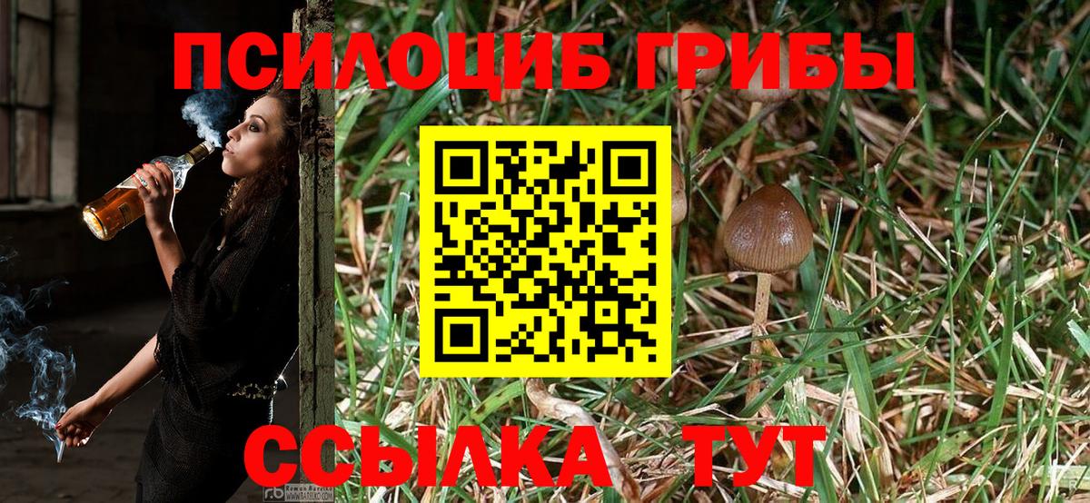 Киреевск  Галлюциногенные грибы MAGIC MUSHROOMS  Вход с VPN  Галлюциногенные грибы MAGIC MUSHROOMS 